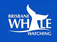 Brisbane Whale Watching - Foster Accommodation 3