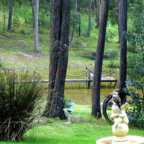 Gain Life Healing Health Retreat - Foster Accommodation 2