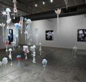 Nellie Castan Gallery - Foster Accommodation