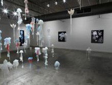 Nellie Castan Gallery - Foster Accommodation 0