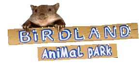 Birdland Animal Park - Foster Accommodation