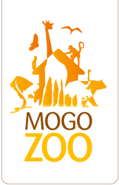 Mogo Zoo - Foster Accommodation