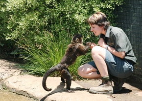 National Zoo & Aquarium - Foster Accommodation 1