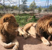 Mansfield Zoo - Foster Accommodation