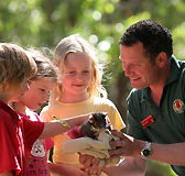 Cleland Wildlife Park - Foster Accommodation