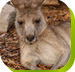 Calmsley Hill City Farm - Foster Accommodation