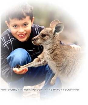 Australia Walkabout Wildlife Park - Foster Accommodation 1