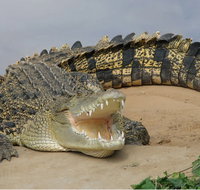 Dundee's Wildlife Park - Foster Accommodation