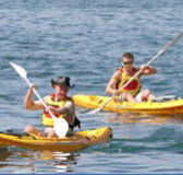 Manly Kayaks - Foster Accommodation
