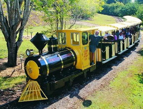 The Big Pineapple - Foster Accommodation 1