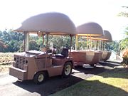 The Big Pineapple - Foster Accommodation 2