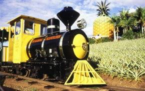 The Big Pineapple - Foster Accommodation 3