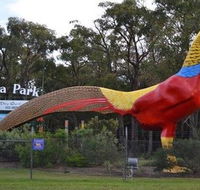 Gumbuya Park - Foster Accommodation