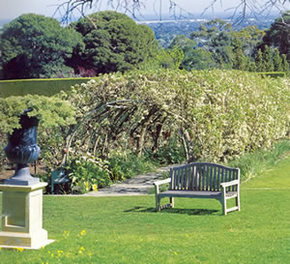 Carrick Hill - Foster Accommodation 2