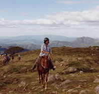 High Country Horses - Foster Accommodation