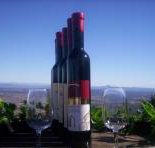 Mount Tamborine Winery  Homestead - Foster Accommodation