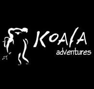 Koala Adventures