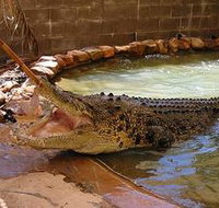 Wyndham Zoological Gardens and Crocodile Park - Foster Accommodation