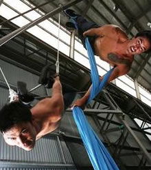 Sydney Trapeze School - Foster Accommodation 2