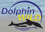 Dolphin Wild - Foster Accommodation 0