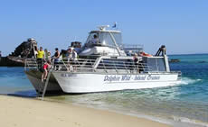 Dolphin Wild - Foster Accommodation 2