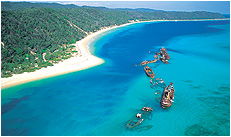 Dolphin Wild - Foster Accommodation 3