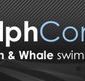 Dolphcom - Dolphin  Whale Swimming Adventures - Foster Accommodation