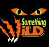 Something Wild - Foster Accommodation