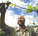 Barossa Experience Tours - Foster Accommodation