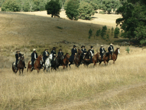 McCormacks Mountain Valley Trail Rides - Foster Accommodation
