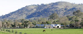 Blue Gum Farm - Foster Accommodation 1