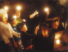 Central Deborah Gold Mine - Foster Accommodation 3