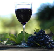Lion Mill Vineyards - Foster Accommodation