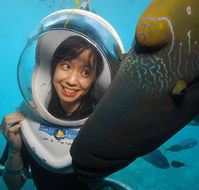 Sunlover Reef Cruises - Foster Accommodation