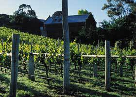 Goona Warra Vineyard - Foster Accommodation 1