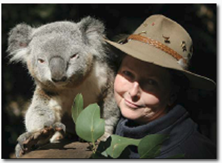 Koala Park Sanctuary - Foster Accommodation 2