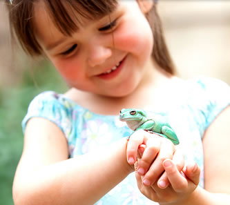 Reptile Encounters - Foster Accommodation 1