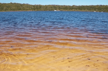 Beach Trekkers North Stradbroke Island - Foster Accommodation 1