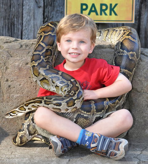 Australian Reptile Park - Foster Accommodation 3