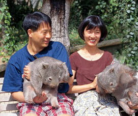 Birdland Animal Park - Foster Accommodation 5