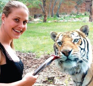 National Zoo & Aquarium - Foster Accommodation 4