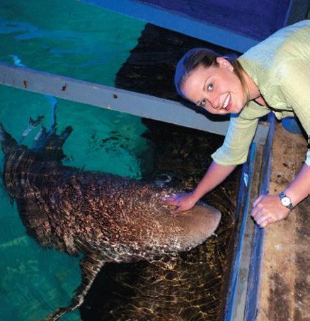 National Zoo & Aquarium - Foster Accommodation 7