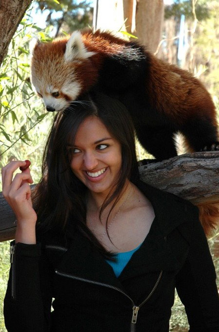 National Zoo & Aquarium - Foster Accommodation 8