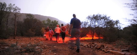 Alice Springs Desert Park - Foster Accommodation 4