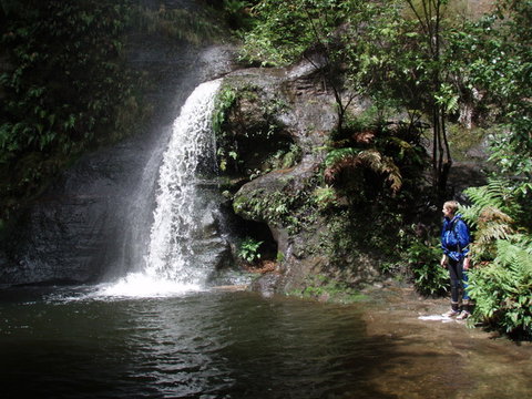 Blue Mountains Adventure Company - Foster Accommodation 1