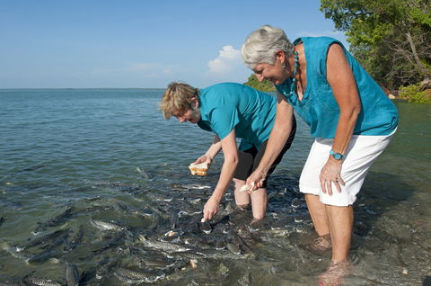 Aquascene Fish Feeding Sanctuary - Foster Accommodation 0
