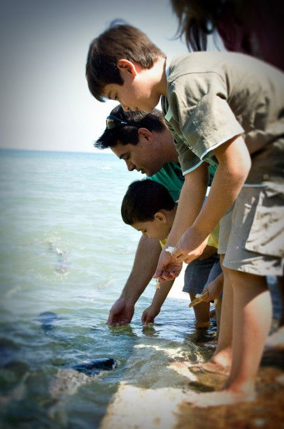 Aquascene Fish Feeding Sanctuary - Foster Accommodation 3