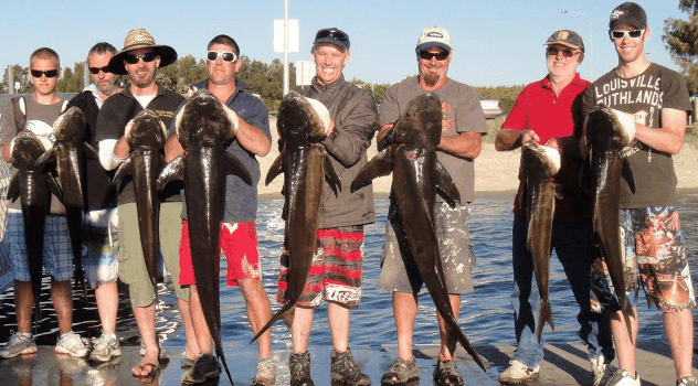 BKs Gold Coast Fishing Charters - Foster Accommodation 1