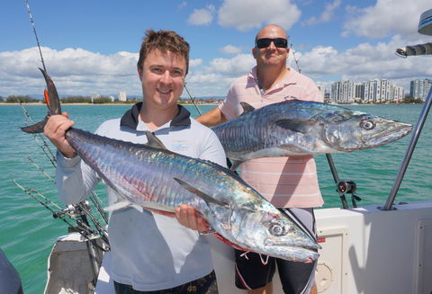 BKs Gold Coast Fishing Charters - Foster Accommodation 6