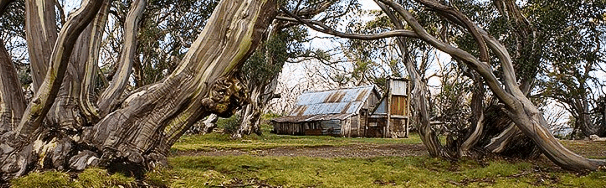 High Country Scenic Tours - Foster Accommodation